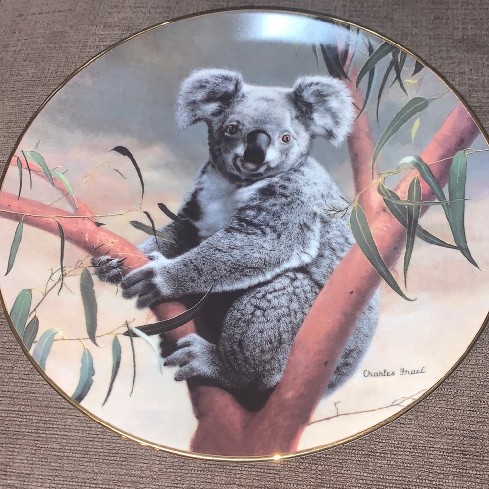 Koala Bear Collector Plate